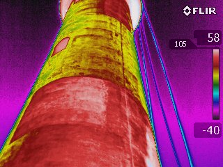 Fire Island Thermography01