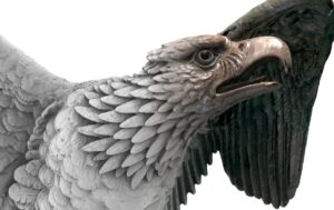 Eagle Detail 1